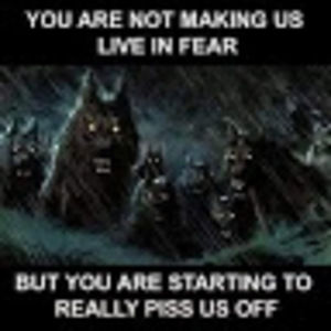 Meet your Posher, Molly